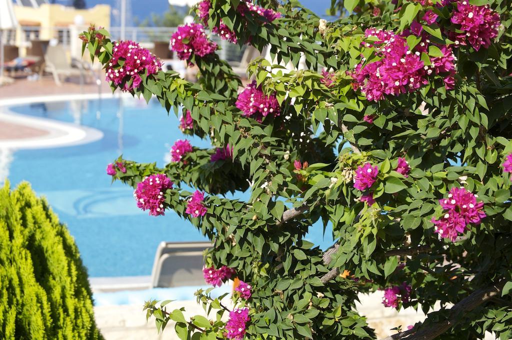 Pilot'S Villas Luxury Suites Limenas Chersonisou Exterior foto